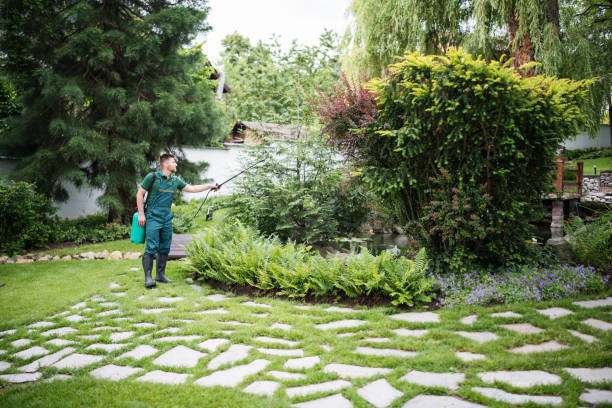 Best Best Pest Control Companies  in Goodman, MS