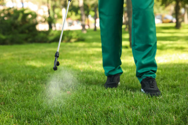 Trusted Goodman, MS Pest Control Experts