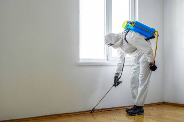 Best Wasp Removal Services  in Goodman, MS