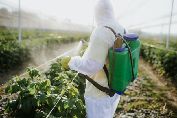 Best Cockroach Control Services  in Goodman, MS